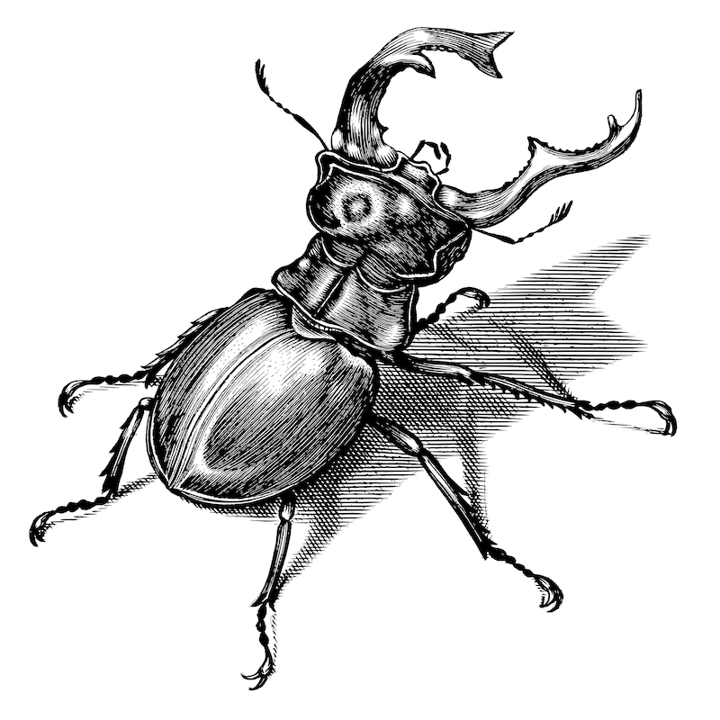 BugBuster